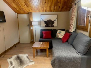 Appartement spacieux proche centre village avec balcon et vue Mont Blanc - FR-1-181-2479
